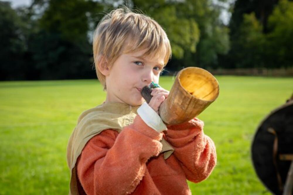 Srbi i Vikinzi dele zajedničke pretke – evo 100 imena koja to dokazuju! Moćna, zvučna, nose ih deca ratnici!