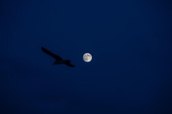 Večeras nas čeka pravi spektakl u Srbiji: Svi pogledajte u NEBO, noć će biti svetla i u potpunom mraku, stigao je!