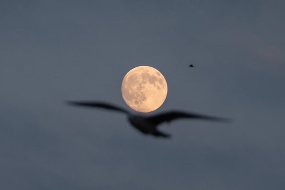 Supermesec, Pun mesec