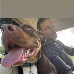 KAKO JE OVO MOGUĆE? Svi mislili da ima PSA, a ustvari je to njegov KLON! Da li nešto naslućujete sa slike?