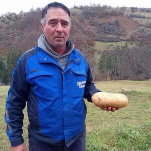 Zoran iz sela Kućani uzgajio džinovski krompir: Kad je izvagao nije verovao - neprskan, čudo prirode (FOTO)