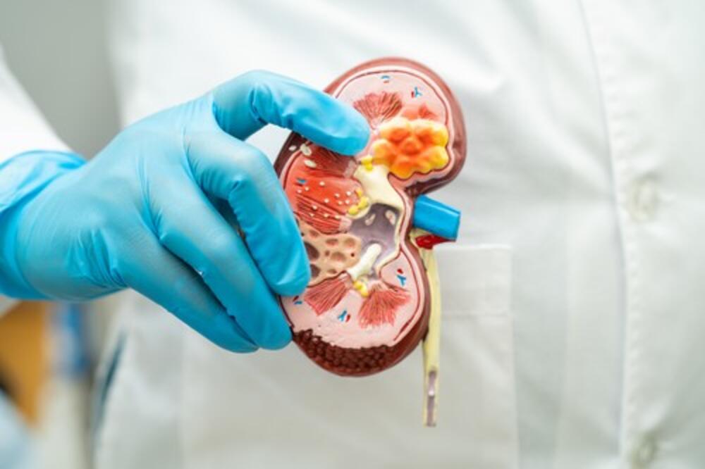 LEKOVI PROTIV BOLOVA UNIŠTAVAJU BUBREGE? Dr Kovačević upozorava Srbe na LOŠU NAVIKU - potrebno je samo 1 KILOGRAM..