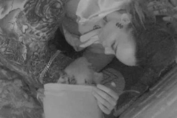 KUKU, RADI OVO VERENIKU ISPRED OČIJU! PALA VRELA AKCIJA U IZOLACIJI! Spojili krevete pa sve ZATRESLI