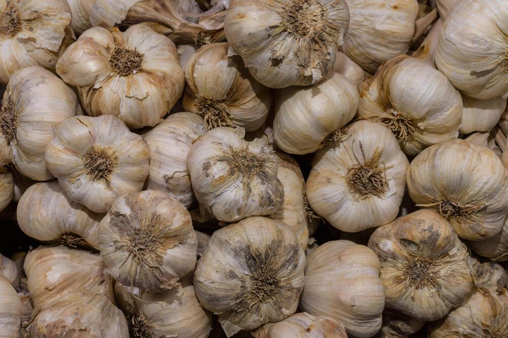 Evo kako da neutrališete miris belog luka: Ukoliko ga ovako jedete niko neće osetiti, a vi ćete biti zdravi ko dren