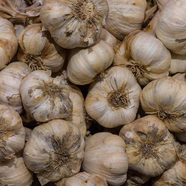 Nikako ne jedite beli luk ako imate ove tegobe: Može doneti ozbiljne komplikacije, budite oprezni