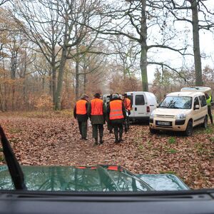 Užas u Bugarskoj: Pronađeno raskomadano i izglođeno ljudsko telo u blizini psihijatrijske ustanove!
