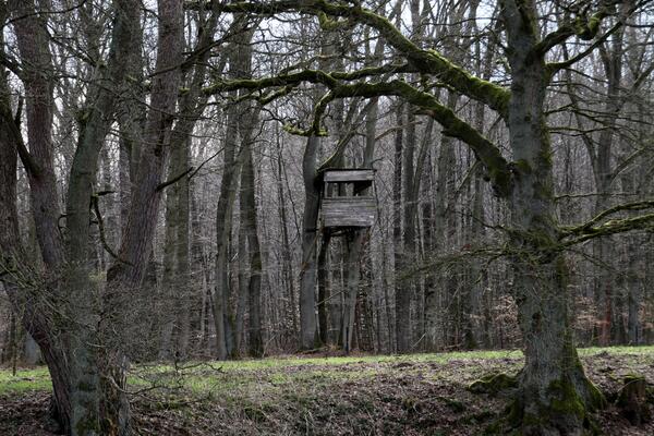 Šetala je obližnjom šumom i naišla na ukrašenu crnu kutiju: Kada ju je jedva otvorila, plakala je kao kiša!