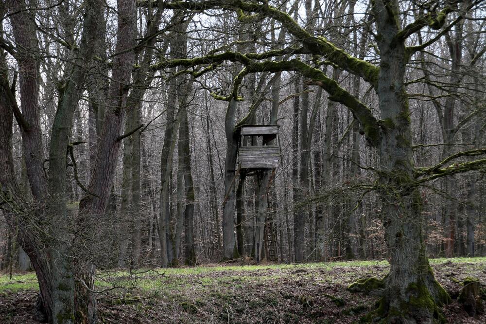 Dušan je na putu ka Aleksandrovcu pronašao nešto što se ne viđa: Kad je izmerio da ima 3 kila, odmah je zvao njih!