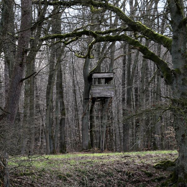 Šetala je obližnjom šumom i naišla na ukrašenu crnu kutiju: Kada ju je jedva otvorila, plakala je kao kiša!