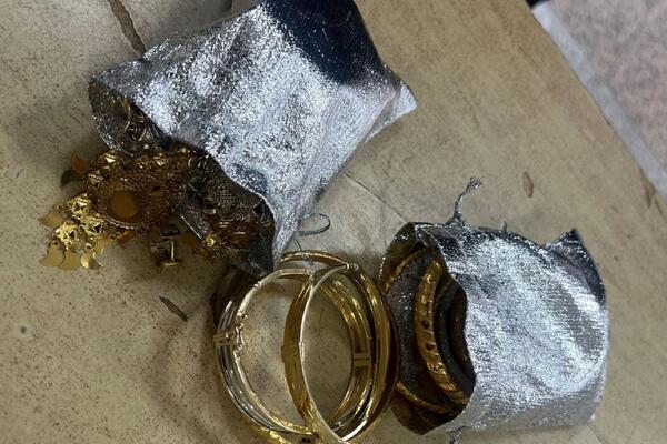 DA LI JE MOGUĆE DA JE OVO SAKRIVENO U DUKSERICI? Carinici na Gradini zanemeli od prizora - Ljudi, NIJE REALNO! FOTO