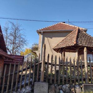 ZBOG OVACA KRENUO DA UBIJA LJUDE KOD BABUŠNICE? "Ušli su u raspravu zato što su mu oterali STOKU SA SPORNE LIVADE"