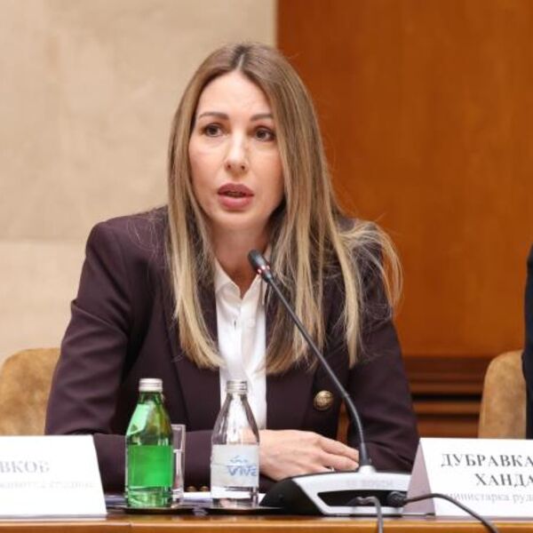 "Moramo biti spremni i za najgori scenario": Ministarka Đedović Handanović razgovarala sa direktorom NIS-a!