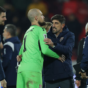 Veljko Paunović je ovog reprezentativca Srbije najviše koristio tokom trenerske karijere (Foto)
