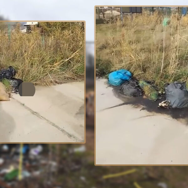 LEŠEVI ŽIVOTINJA BAČENI KRAJ PUTA, LJUDI ZGROŽENI PRIZOROM! Pojavio se uznemirujući snimak: "Ovo treba kažnjavati!"