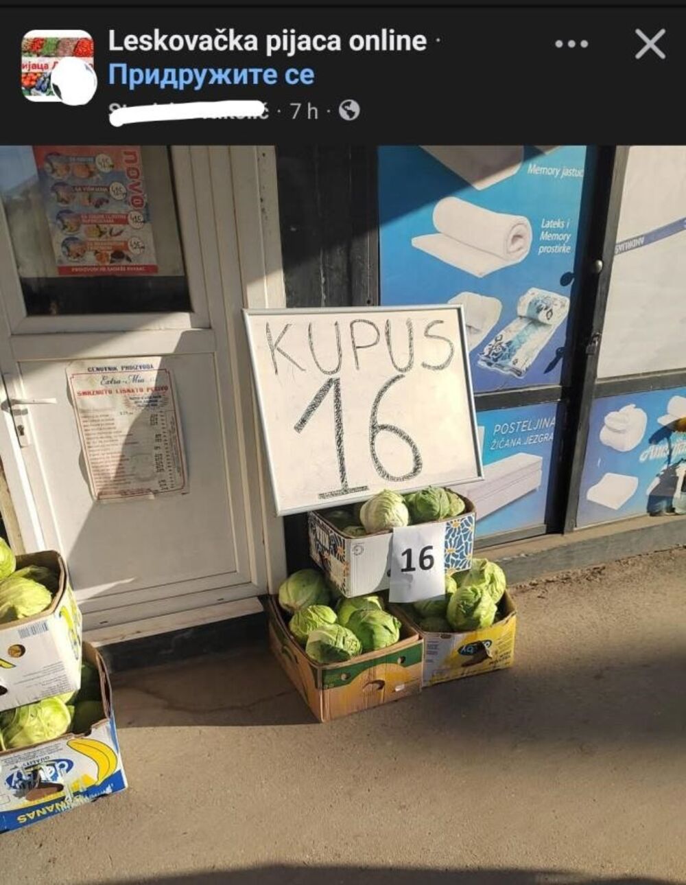 Kupus