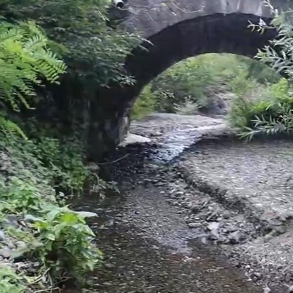 U ovom selu u Srbiji nema buke, žurbe, ni stresa: Zimi bajka, a leti raj - ima najčudnije ime od dva slova (FOTO)