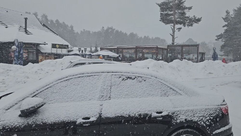 Sneg prekrio automobile