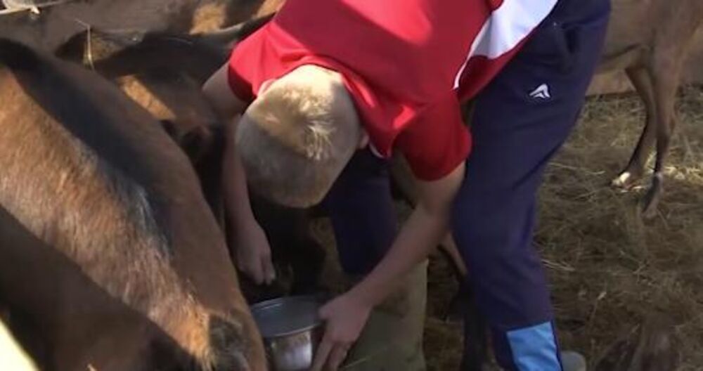 Najmlađi član porodice Ognjen učestvuje u poslu