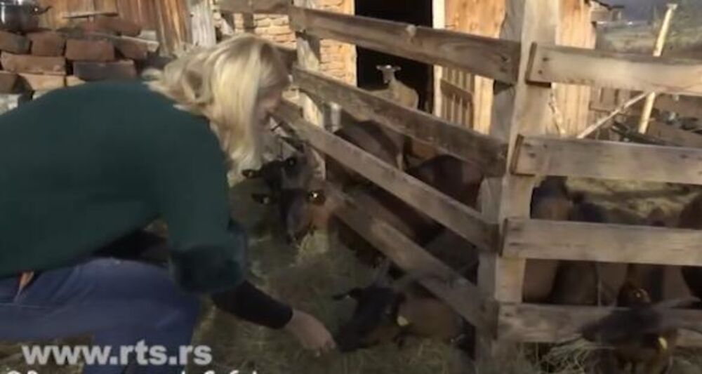 Ljiljana Raković sa svojim kozama
