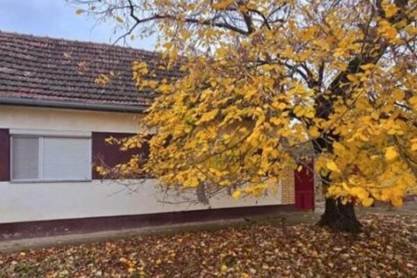 Petar na ovoj lokaciji prodaje kuću za samo 25.000 evra: Odmah je useljiva, mesto kao iz bajke (FOTO)