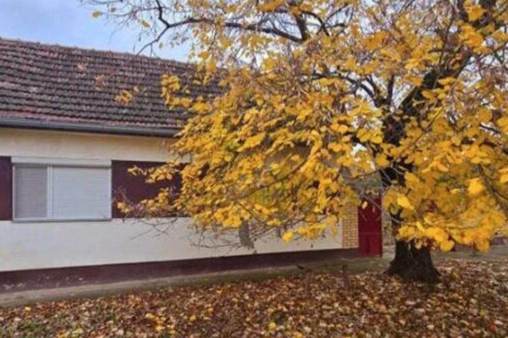 Petar na ovoj lokaciji prodaje kuću za samo 25.000 evra: Odmah je useljiva, mesto kao iz bajke (FOTO)