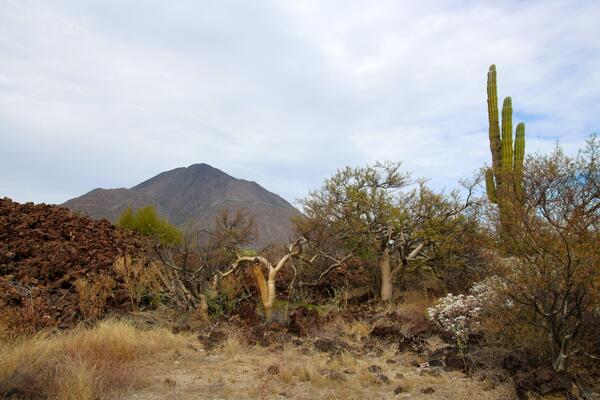Ovo je misteriozno mesto usred ničega u kojem se gubi radijski signal, a kompasi se kvare! Razlog je jeziv