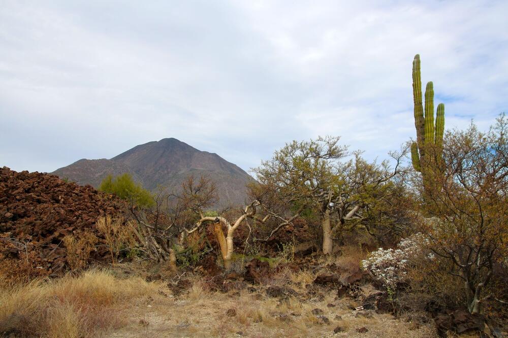 Ovo je misteriozno mesto usred ničega u kojem se gubi radijski signal, a kompasi se kvare! Razlog je jeziv