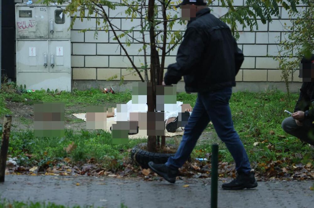 Ubistvo Tadije Pantića