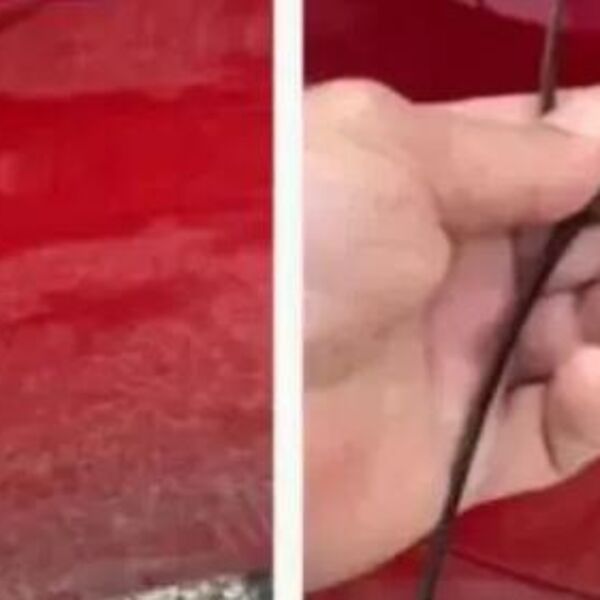 OTAC OSTAO ŠOKIRAN KADA JE SHVATIO ŠTA ZNAČI DETALJ NA ČERKINOM AUTOMOBILU Svake noći izlazi u 3: "TO JE SIGNAL..."