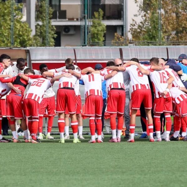 Zvezda razbila Žilinu u Ligi šampiona!