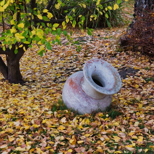 Neće vam biti dobro kad čujete šta je upravo u decembru 2025. godine pronađeno u posudama u ovom mestu!