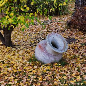 Neće vam biti dobro kad čujete šta je upravo u decembru 2025. godine pronađeno u posudama u ovom mestu!