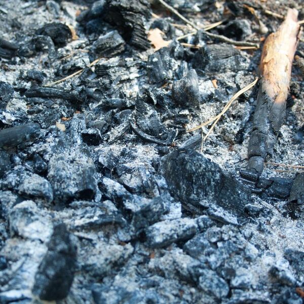 Pepeo od loženja nikad ne bacajte: Super je za mnoge stvari u kući, a da nemate pojma za njih