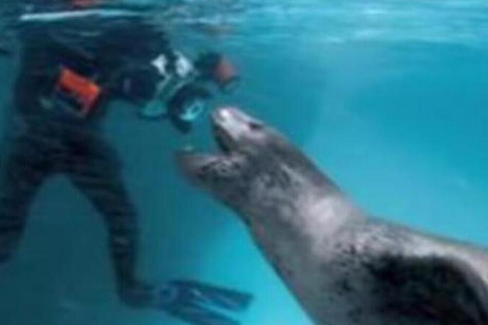 UŠAO JE U OKEAN SA KAMEROM, A ONDA JE OGROMNA NEMAN PROGUTALA NJEGOVU GLAVU: Ono što je usledilo, ledi krv u žilama