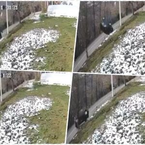 Od ovog snimak se ledi krv u žilama: Devojka proklizava, automobil se prevrće i staje na metar od provalije!