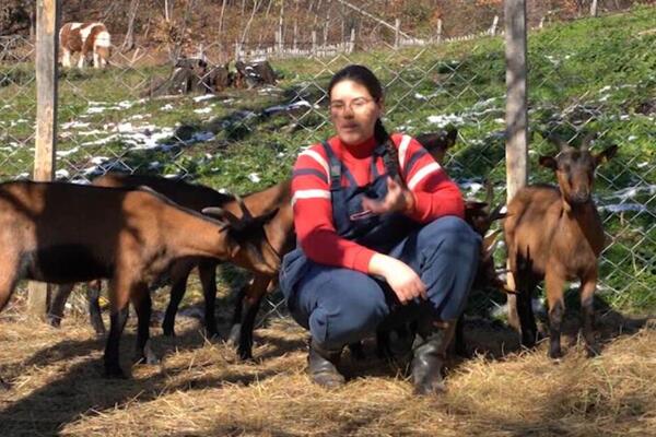Živi skoro kao gorštak, koze su joj kao članovi porodice: Jelena ih muze, pravi sir - njena priča je neverovatna