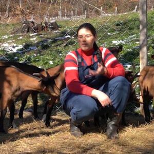 Živi skoro kao gorštak, koze su joj kao članovi porodice: Jelena ih muze, pravi sir - njena priča je neverovatna