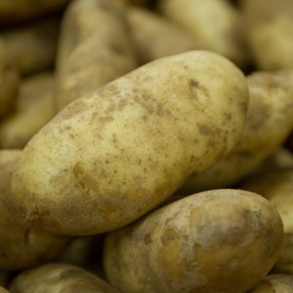 SRBI GA TAMANE, A NEMAJU POJMA DA MOŽE DA IM BUDE NEPRIJATELJ! Ovo su najgore strane KROMPIRA - pogledajte samo ovo