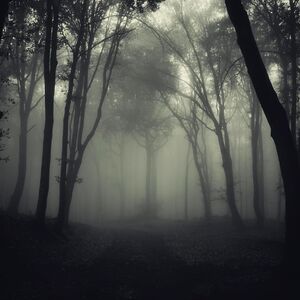 Spremite se za totalni mrak u Srbiji u 15:57! Sledeće nedelje najmračniji dan u godini, biće baš sablasno