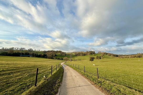 Nevrovatan biznis gde Srbi mogu da zarade: Skupite ih ovoliko i možete da ih prodate restoranima, daju velike pare