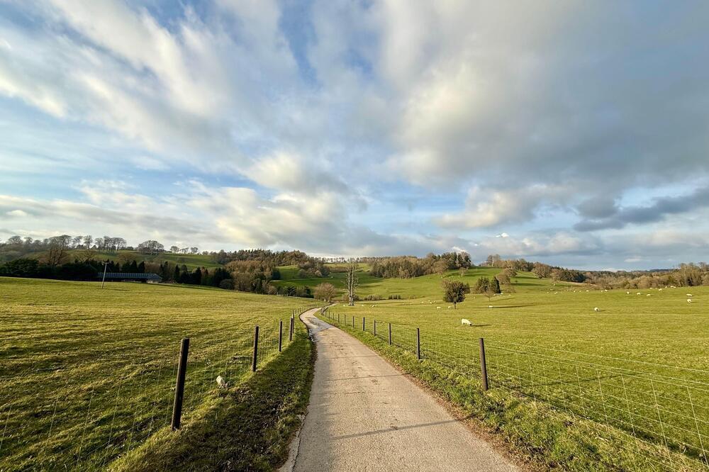 Nevrovatan biznis gde Srbi mogu da zarade: Skupite ih ovoliko i možete da ih prodate restoranima, daju velike pare