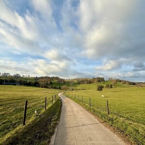 Nevrovatan biznis gde Srbi mogu da zarade: Skupite ih ovoliko i možete da ih prodate restoranima, daju velike pare