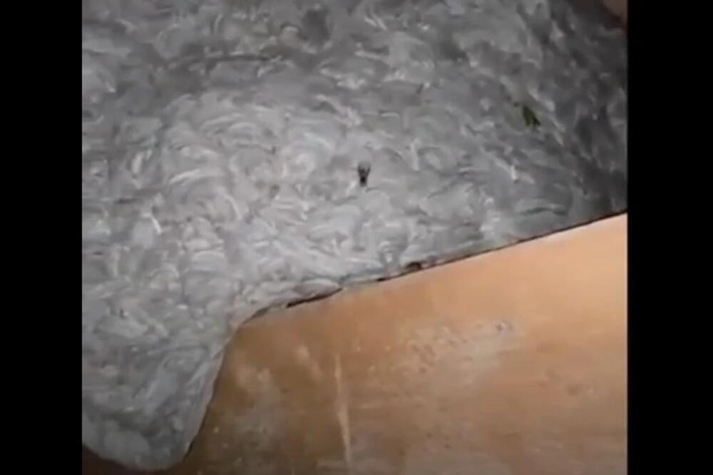 Kad su videli šta im je u kući, odmah su pozvali Danijela - šok nastupio kada je sišao s tavana i pokazao im ruke!