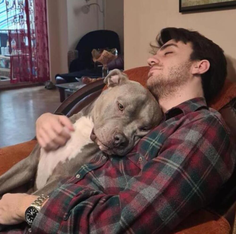 Stefani Piper, Patrik M.