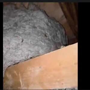 Prizor iz snova ili noćne more? Danijel u rukama drži ono što bi MALO KO SMEO - ljudi nisu mogli da veruju šta vide