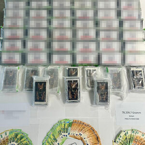 ZAPLENJEN 81 KILOGRAM KOKAINA I PREKO 100 KILA MARIHUANE Velika akcija policije, oglasio se Dačić!