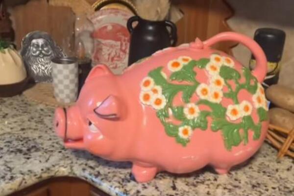 Kupila kasicu prasicu iz 1970-ih za 1.100 dinara! Kad ju je otvorila, ostala u šoku - iz nje ispadali... (VIDEO)