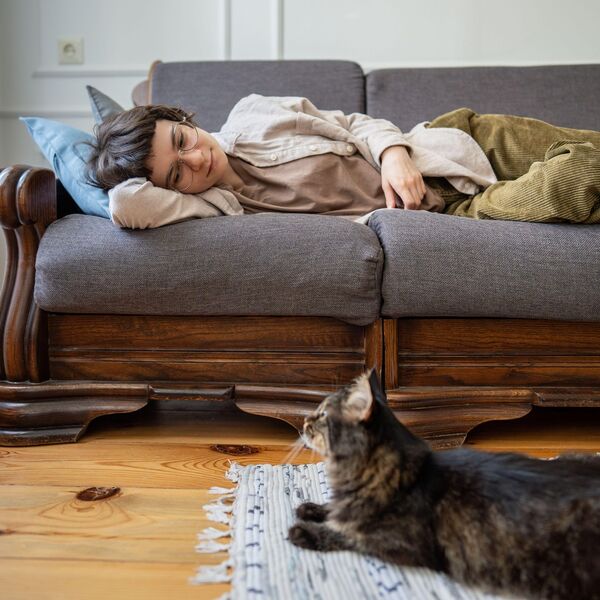 DA LI JE I ONA DOBILA VIRUS? Mačka izgleda bolesno baš kad ste i vi prehlađeni - VETERINAR UPOZORAVA, SIMPTOMI SU..