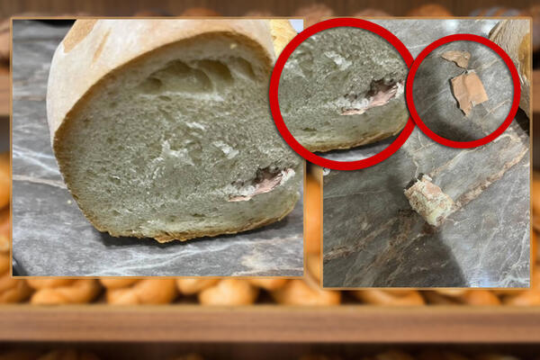 Šapčanin kupio hleb u prodavnici, a od onoga što je našao u vekni PREVRNUĆE VAM SE ŽELUDAC: Prizor nije za gadljive