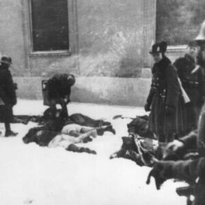 "UBIO SAM 20, MRZELO ME DA BACAM LEŠEVE" Ovako su Mađari klali Srbe: Majka plakala za decom, zver je TUKLA KUNDAKOM